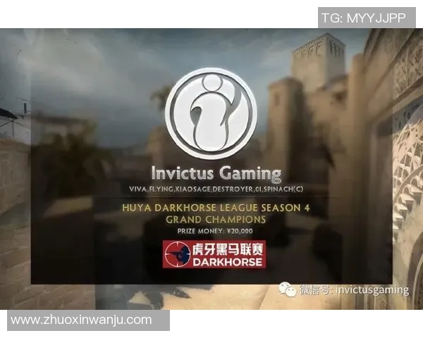 CSGO赛事热议IG战队团队协作引发争议与讨论