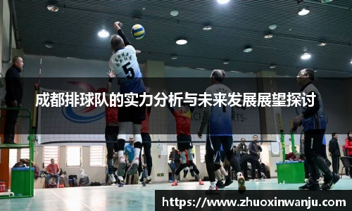 球速体育官方app