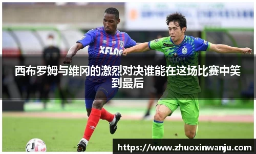 球速体育
